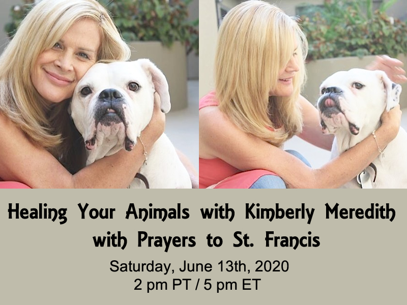 Healing your Animals with Prayers to St. Francis Replay | The Healing  Trilogy